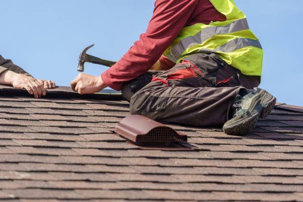 Best Roof Gutter Cleaning  in Williamsburg, VA