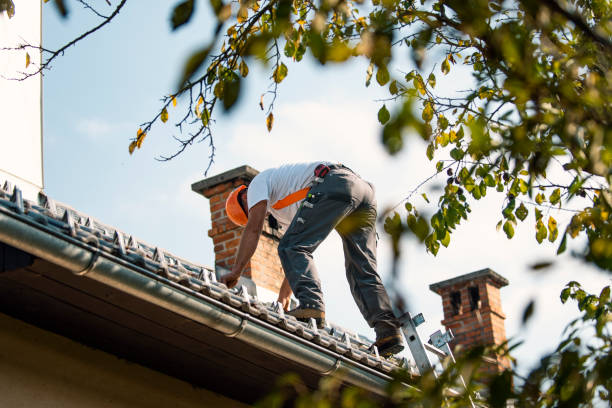 Best Roof Maintenance Services  in Williamsburg, VA