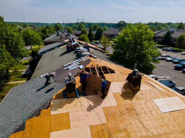 Best Flat Roof Repair Services  in Williamsburg, VA