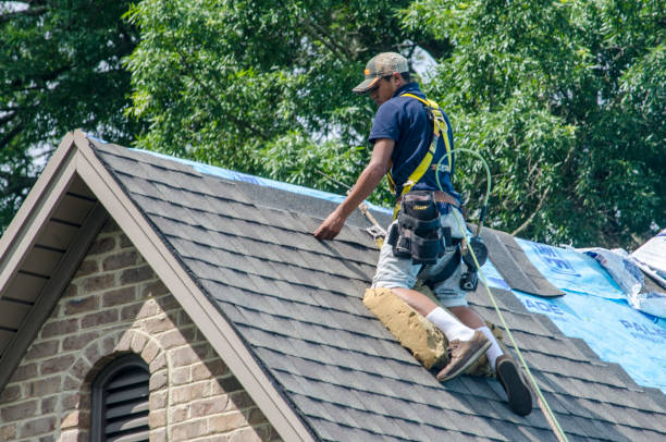 Trusted Williamsburg, VA Roofing Contractor Experts